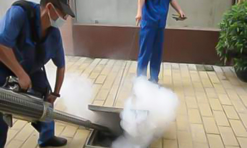 如何解决鼠类危害?