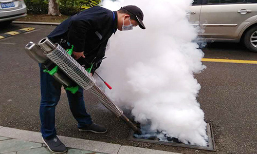 灭活白蚁的专业方案
