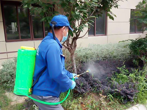 灭蚊子