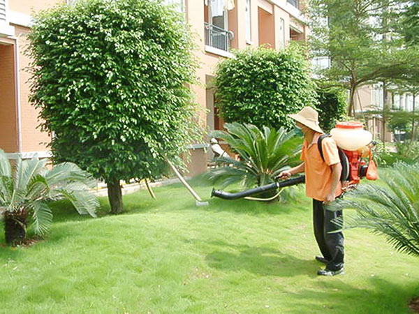 小区杀虫灭鼠方案