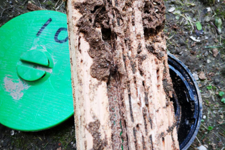 白蚁诱杀防御系统