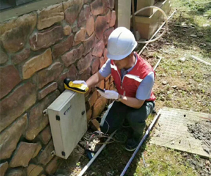 白蚁诱杀防御系统