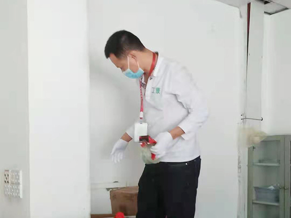 东莞物业小区杀虫灭...